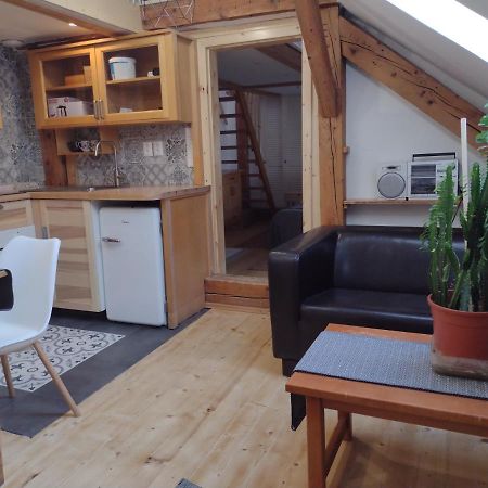 Studio Blizko Centra, Zilinska 20 Братислава Экстерьер фото