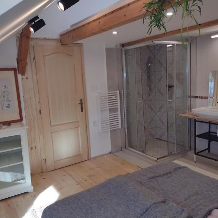 Studio Blizko Centra, Zilinska 20 Братислава Экстерьер фото